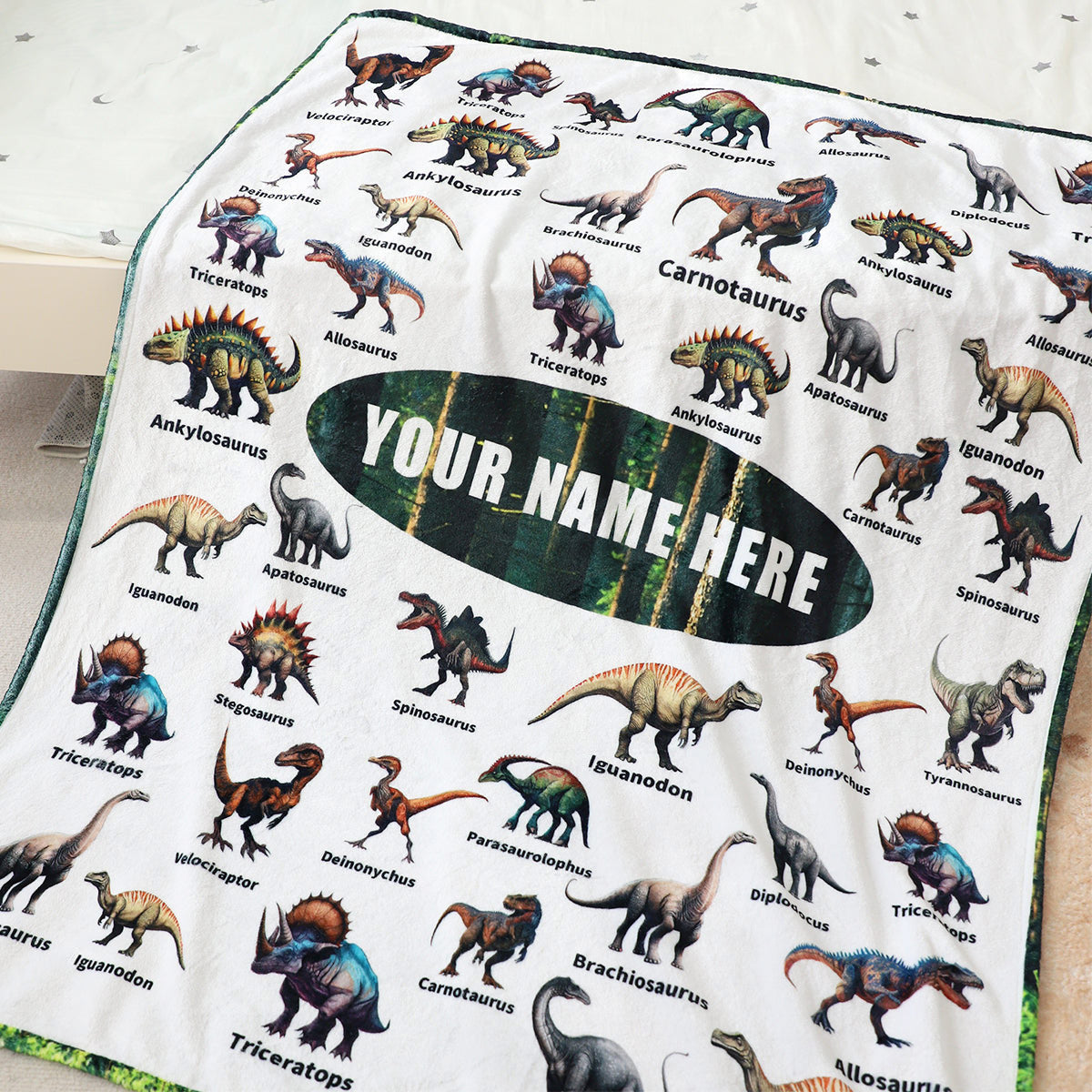 Personalized Dinosaur Adventure Blanket - Customize Your Name