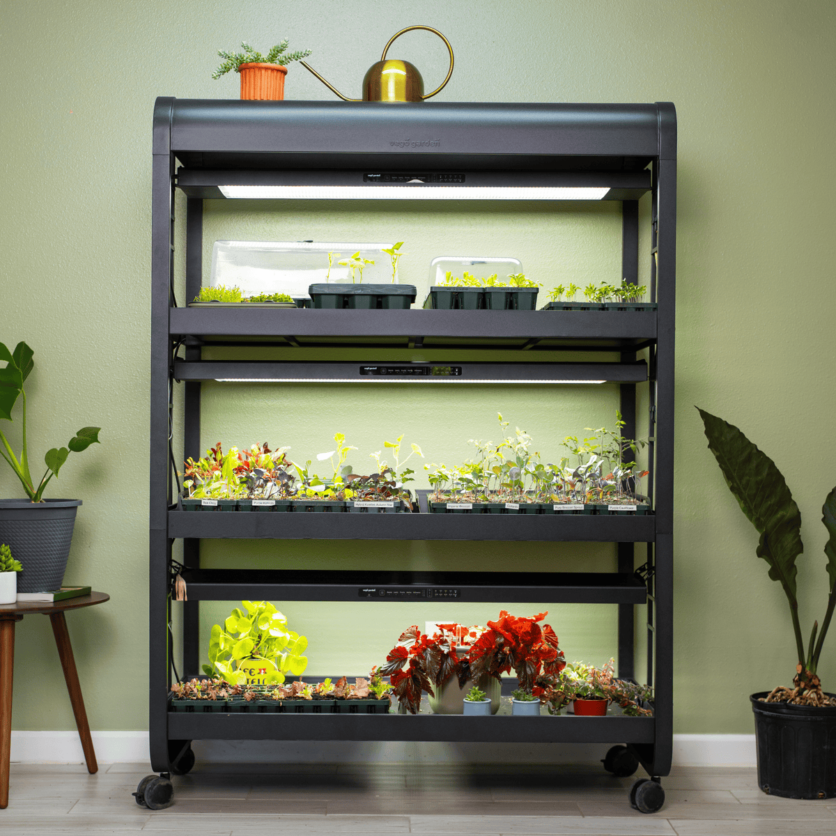 Ultimate Grow Light Garden