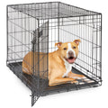 Midwest 36-Inch Single Door iCrate, for Medium-Large Breeds, 41-70 lbs | Folding Dog Crate with Divider Panel, Leak-Proof Tray & Secure Latches, Portable, Durable & Easy to Assemble