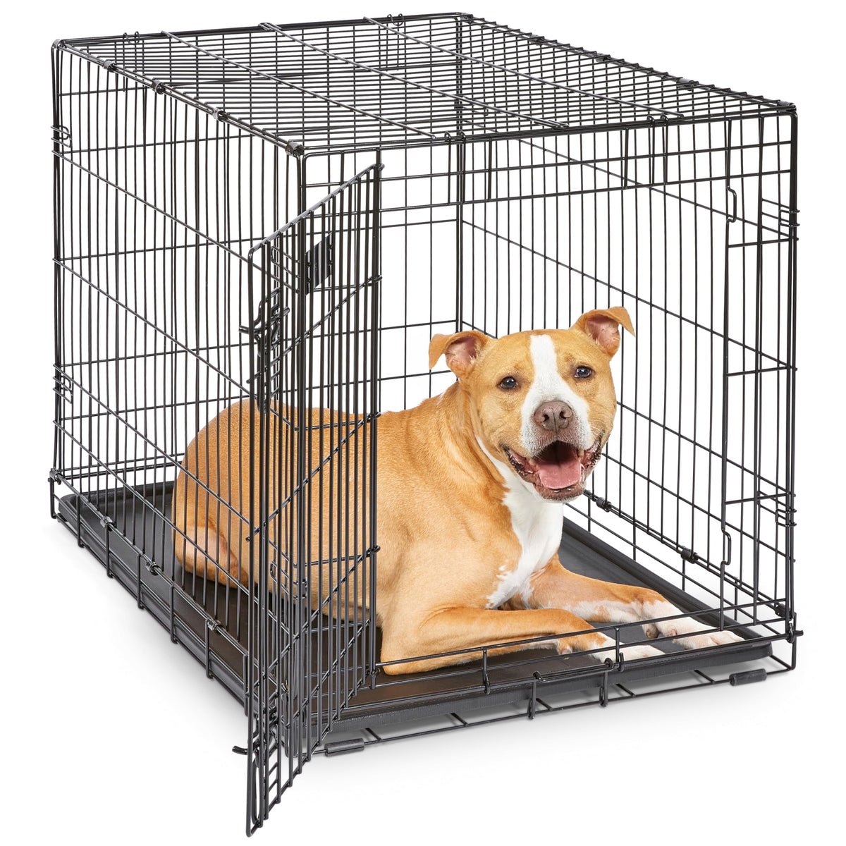 Midwest 36-Inch Single Door iCrate, for Medium-Large Breeds, 41-70 lbs | Folding Dog Crate with Divider Panel, Leak-Proof Tray & Secure Latches, Portable, Durable & Easy to Assemble