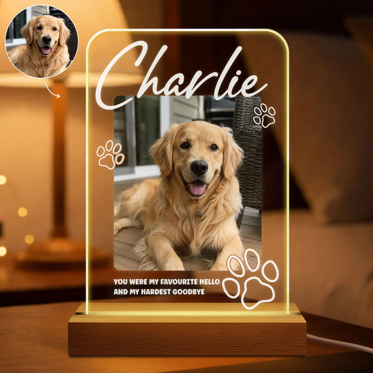 "Favorite Hello Hardest Goodbye" Personalized Pet Memorial LED Night Light - Custom Photo Gift for Dog Cat Lovers
